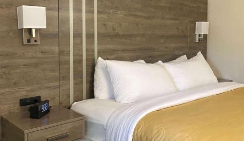 Standard King Room - Non-Smoking 