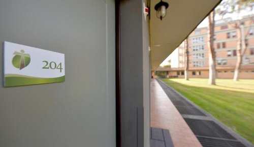 Deluxe Double or Twin Room with Garden View