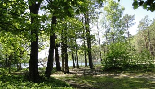 Two-Bedroom Chalet 2