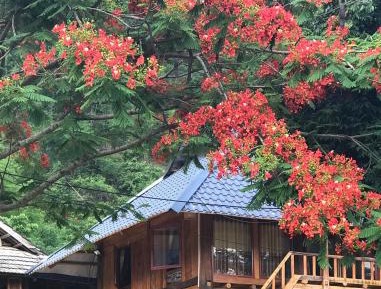 Single Bed in Dormitory Room