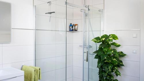 Double or Twin Room with Shared Bathroom