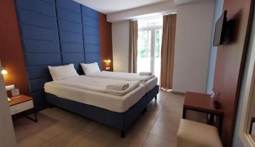 Double and Twin Room with Forest View