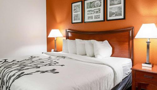 King Room - Non-Smoking