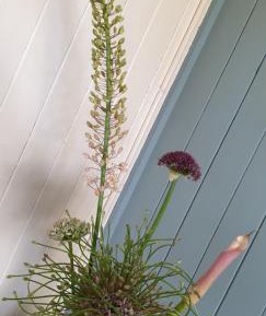 Quadruple Room with Bathroom