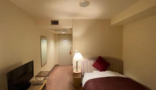 Economy Single Room - Non-Smoking