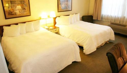 Queen Room with Two Queen Beds - Pet Friendly/Non-Smoking