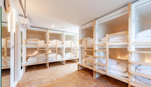 Bunk Bed in Mixed Dormitory Room