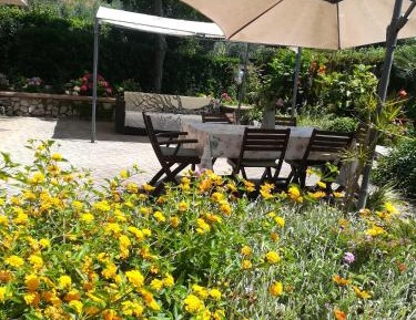 Studio with Garden View