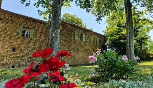 Standard Double Room with Private Bathroom