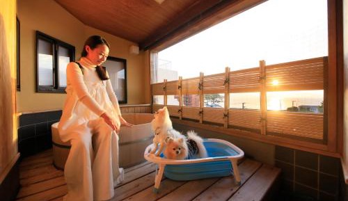 Japanese-Style Deluxe Room - Dog Friendly