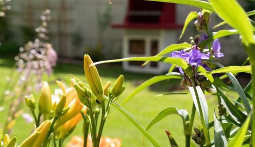 Apartment with Mountain View