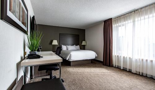 Queen Room - Disability Access - Non-Smoking