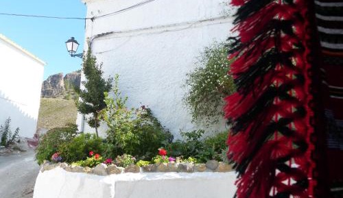 Studio with Garden View