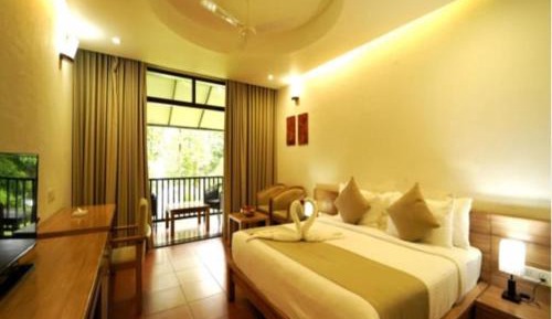 Deluxe Double or Twin Room with River View
