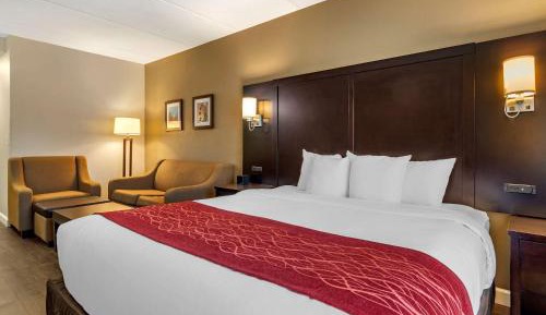 King Suite with Sofa Bed