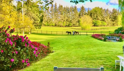 Queen Room with Garden View