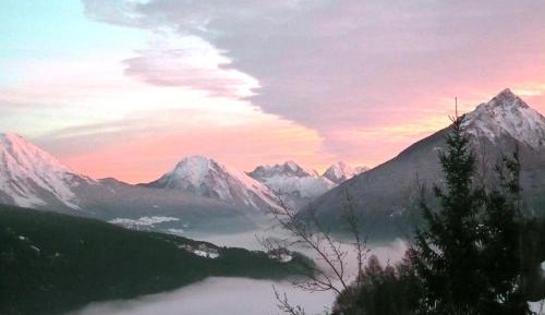 One-Bedroom Apartment with Garden View