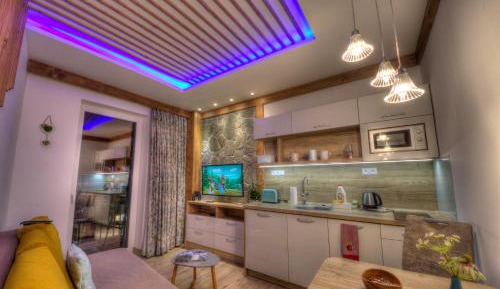 Apartment with Mountain View