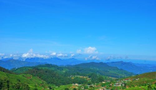 King Room with Spa Bath