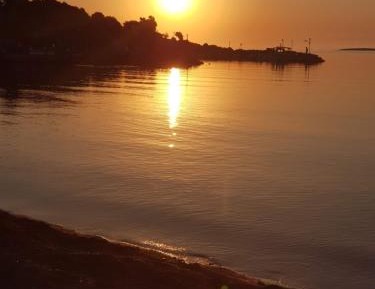 One-Bedroom Apartment with Garden View