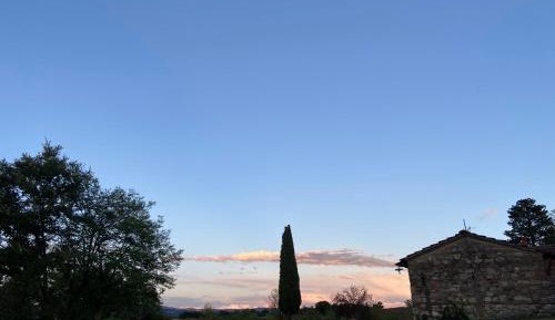 One-Bedroom Apartment with Garden View