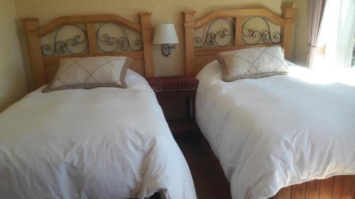 Double Room with Two Double Beds