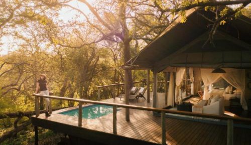 Luxury Tent 1 with Plunge Pool-Safari Package