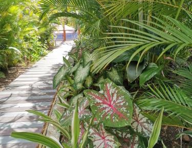 Deluxe Bungalow with Garden View