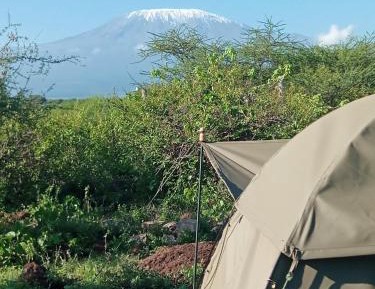 Twin Room with Mountain View