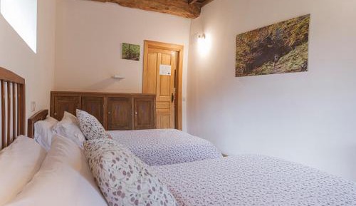 Twin Room with Terrace