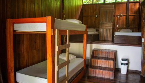 Bed in 8-Bed Dormitory Room