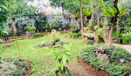 Double Room with Garden View