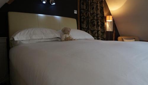 Junior Suite with Garden View