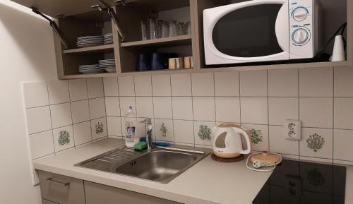 Apartment with Mountain View