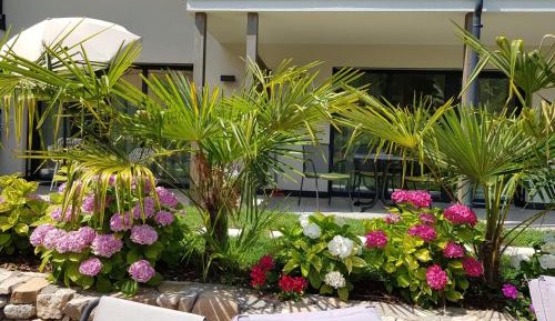 Apartment with Terrace