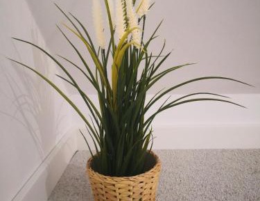 Apartment - Split Level