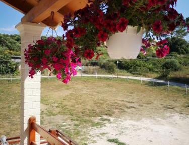 Standard Apartment (2 Adults)