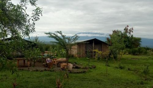 Tenthouse for 2 people with Shared Toilet and Shower