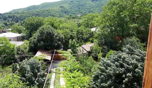 Standard Twin Room with Mountain View