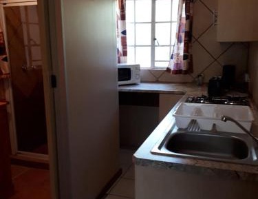 Studio with Garden View