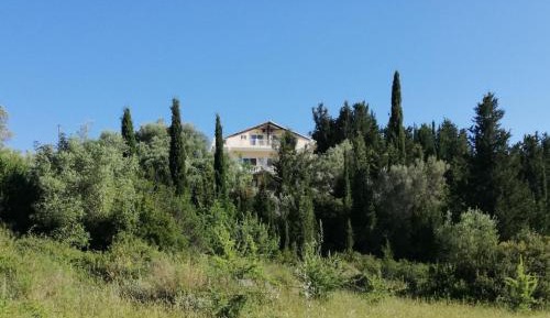 Superior One-Bedroom Apartment