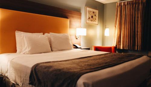 King Room (Remodeled) - Non-Smoking