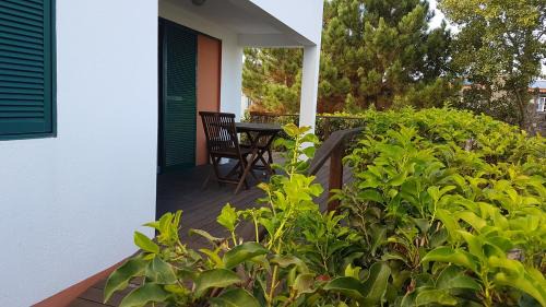 One-Bedroom Holiday Home