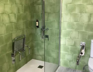 Apartment with Mountain View (Room adapted for disabled guests) 