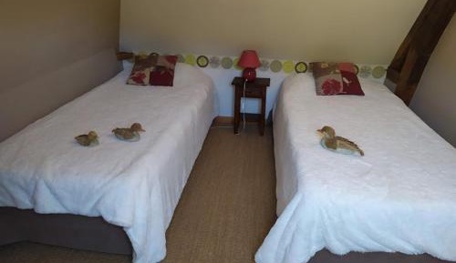 Family Room with Garden View