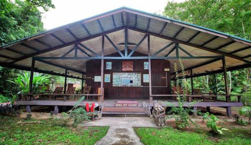 Bed in 6-Bed Dormitory Room