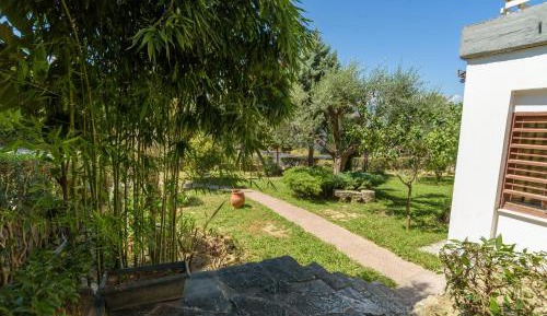 Apartment with Garden View