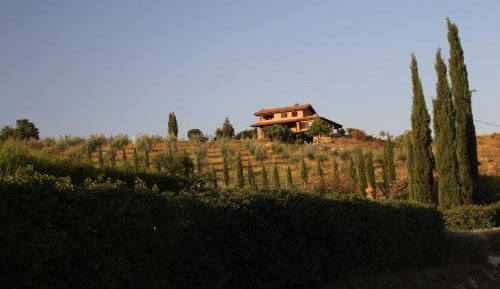 Apartment with Garden View