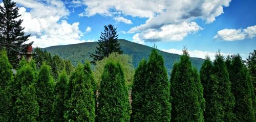 Double Room with Mountain View