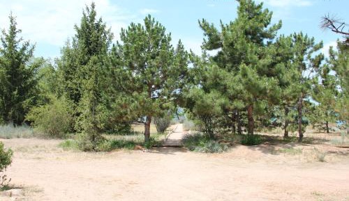 Comfort Triple Room with Shower